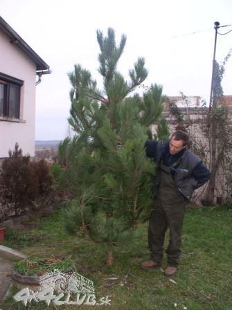 Obrázok