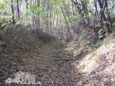 Obrázok