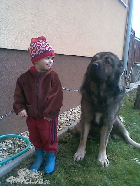 Obrázok