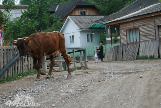 Obrázok