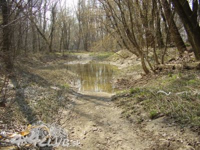 Obrázok