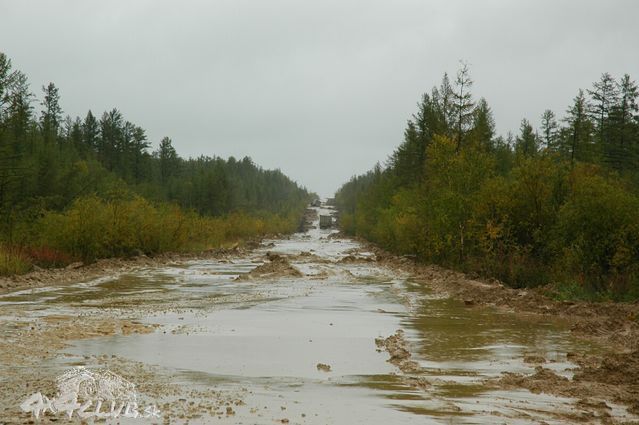 Obrázok