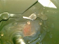 0139po4aqurpv6cvi395.jpg
