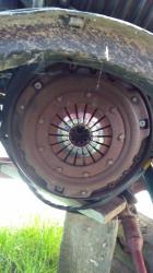 0jt4s5raca2fp7gtdgwq.jpg