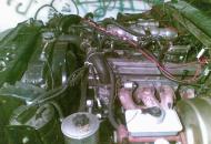 0r903el1wgigm766203x.jpg