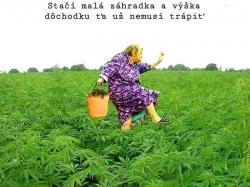 0s36xmaacz8ubya2n6sh.jpg