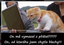 Obrázok