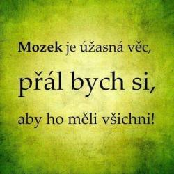 Obrázok