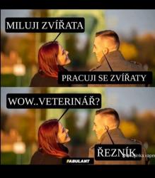 Obrázok