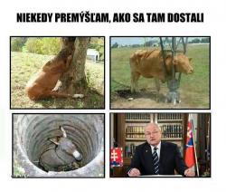 Obrázok
