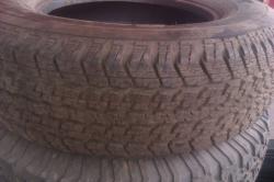 22upno2jtr9d1w4e2nih.jpg