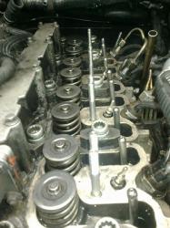 26wqr9i3rrb8x6oit95x.jpg