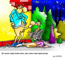 Obrázok