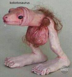 2i0j7ung8f1gugo3qtzu.jpg