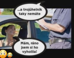 Obrázok