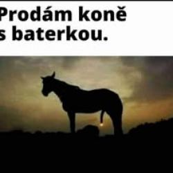 Obrázok