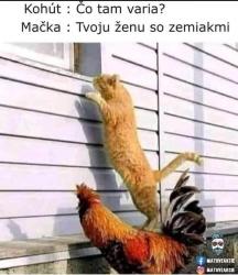 2zw9gkh95qlf1qwoesd8.jpg
