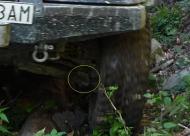 4x4Online