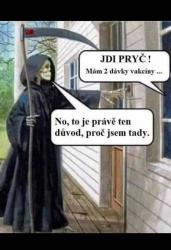 3gg0vj5sr6jcivs3zbma.jpg