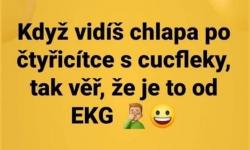 44vi652ddz8tplwk76cw.jpg
