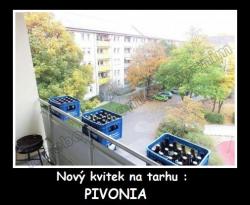 Obrázok