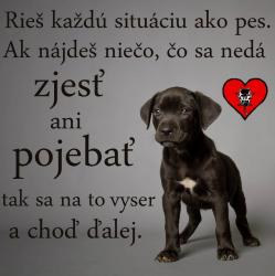 Obrázok
