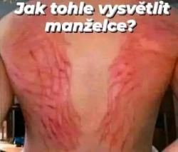 60uhvc0gdjpmo5ou7qxq.jpg