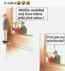 Obrázok