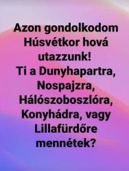 79jfgrim7ipv5q4wr55y.jpg