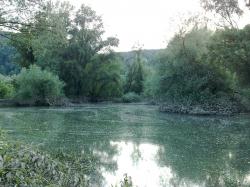 Obrázok