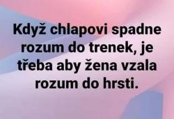 7pvcld39uteg1zxwnhoc.jpg