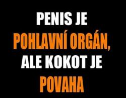 Obrázok