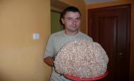 Obrázok
