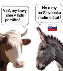 7yerodua09i2c01bgiaz.jpg