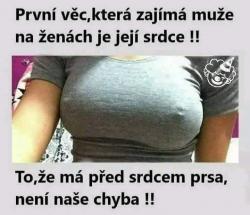 Obrázok
