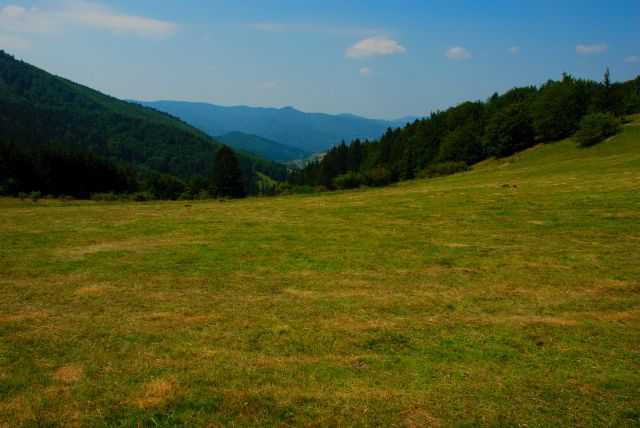 Obrázok