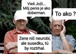 Obrázok