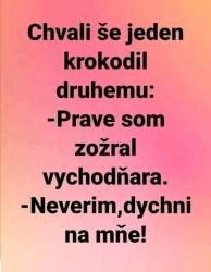 Obrázok
