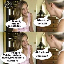 Obrázok