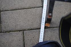 9lyjpip9892t58wp095y.jpg