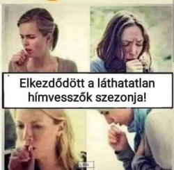 9mnryx5tmdpdcd1k6qls.jpg