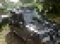 9rq700rbpe5y9ifgwhn4.jpg