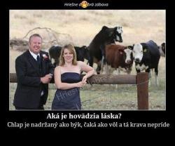 Obrázok