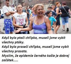 Obrázok