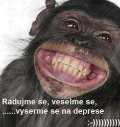 bb6c4hrgutk2xdmibou1.jpg