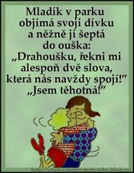 Obrázok