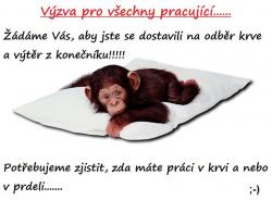 Obrázok