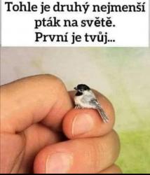 bysjjque3ty71qj7j520.jpg