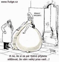 Obrázok