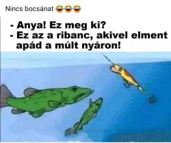 chwngcnuoct2kk0d5hni.jpg